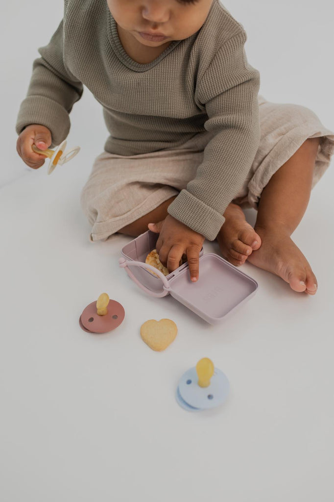 Bibs Pacifier Box Emzik Kutusu Dusky Lilac